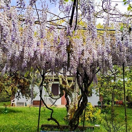 Casetta In Collina Sezze Екстериор снимка
