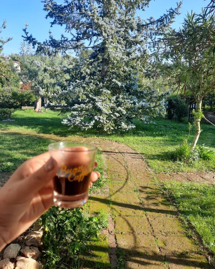 Casetta In Collina Sezze Екстериор снимка
