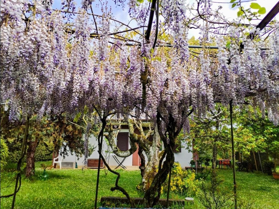 Casetta In Collina Sezze Екстериор снимка